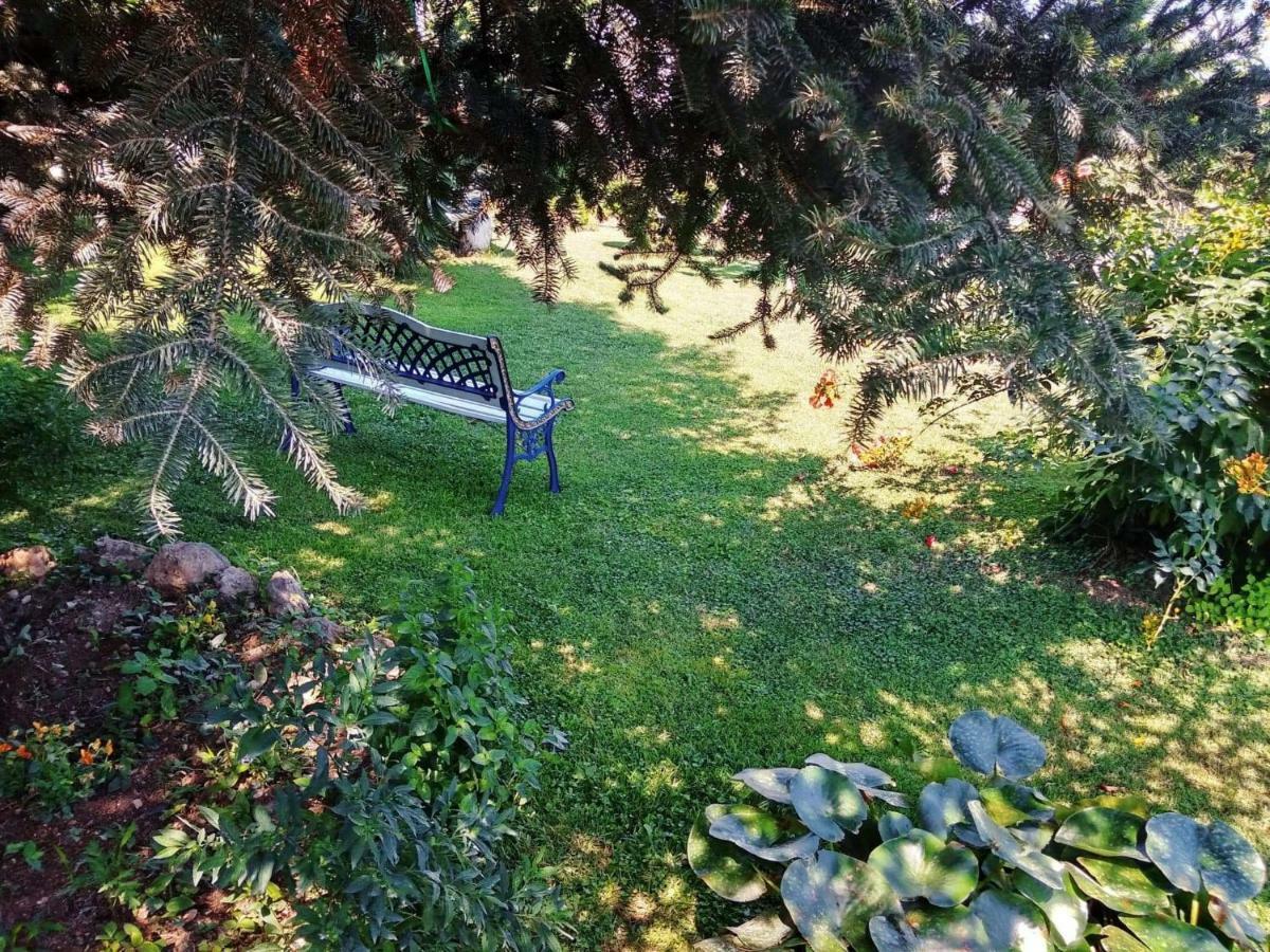 Villa Axiothea Nemea Eksteriør bilde